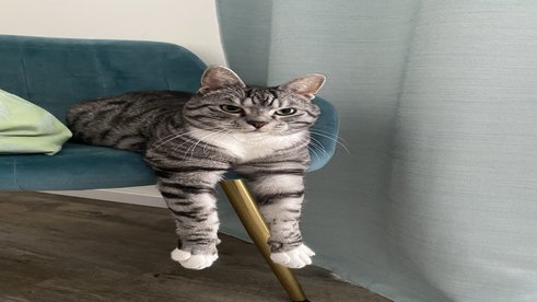     Mitten im Leben
